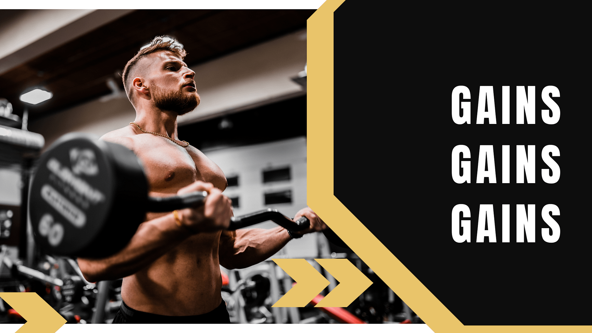 A Beginner’s Guide to Building Size & Strength – Newbie Gains